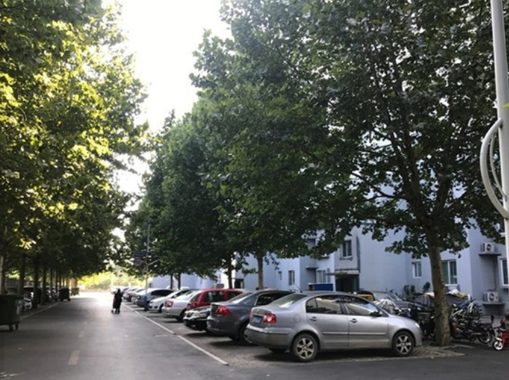 （2009年）鄒平一中翠微園1號、2號、6號樓鑒定