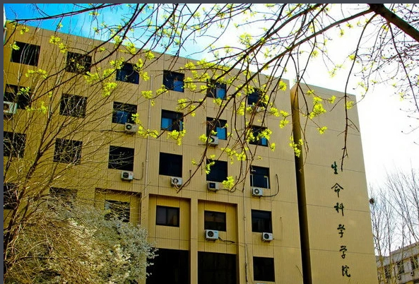 （2006年）山東大學(xué)生命科學(xué)院實驗樓  